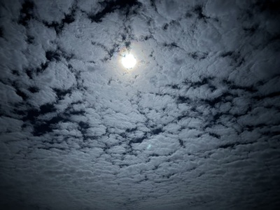  -- Cliquez pour voir l'image en entier