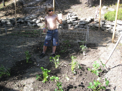 Gab planting the tomatoes and strawberries -- Cliquez pour voir l'image en entier