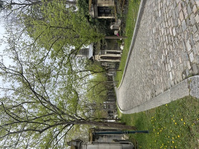  -- Cliquez pour voir l'image en entier