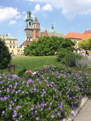 La cathdrale du Wawel  Cracovie -- Cliquez pour voir l'image en entier